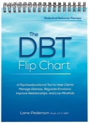 the dbt flip chart