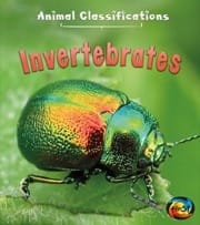 invertebrates