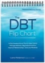 the dbt flip chart